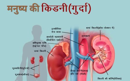 रात में नींद ना आना,हो सकता है किडनी की बीमारी का संकेत